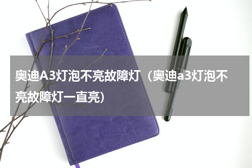 奥迪A3灯泡不亮故障灯（奥迪a3灯泡不亮故障灯一直亮）