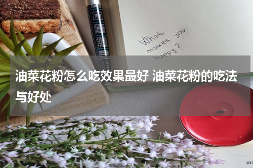 油菜花粉怎么吃效果最好 油菜花粉的吃法与好处