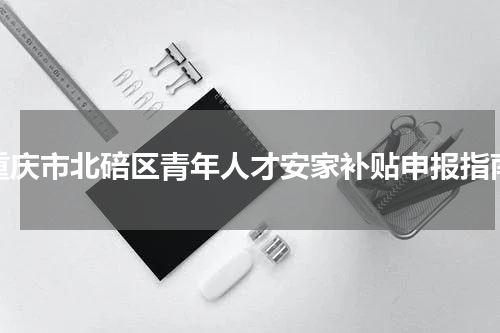 重庆市北碚区青年人才安家补贴申报指南