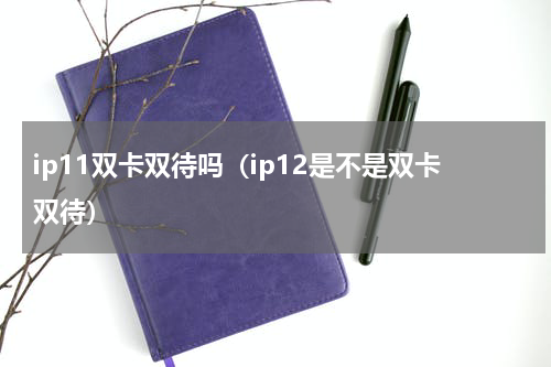 ip11双卡双待吗（ip12是不是双卡双待）