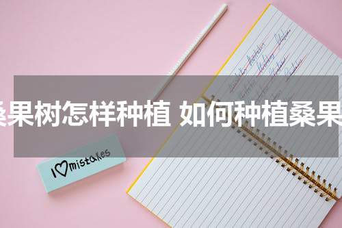 桑果树怎样种植 如何种植桑果