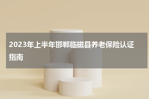 2023年上半年邯郸临磁县养老保险认证指南