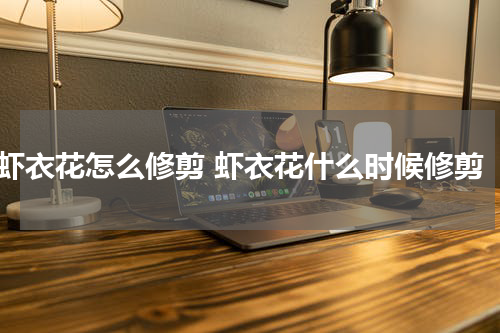 虾衣花怎么修剪 虾衣花什么时候修剪