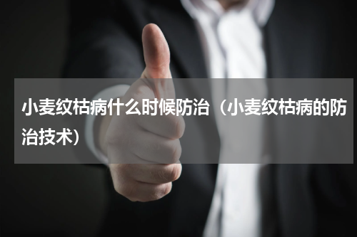 小麦纹枯病什么时候防治（小麦纹枯病的防治技术）