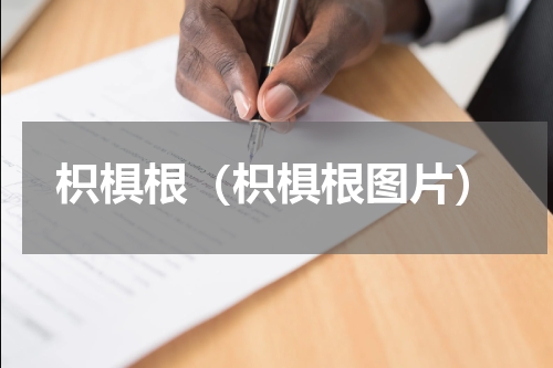 枳椇根（枳椇根图片）