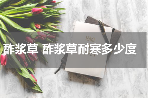 酢浆草 酢浆草耐寒多少度