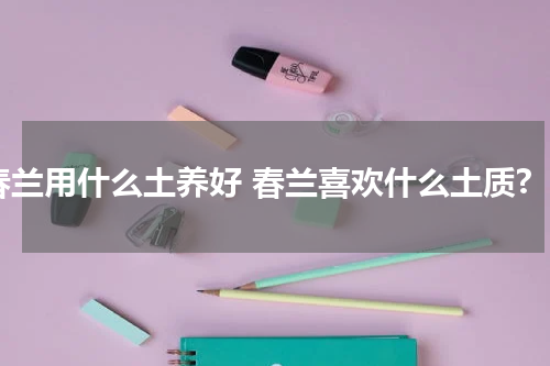 春兰用什么土养好 春兰喜欢什么土质?