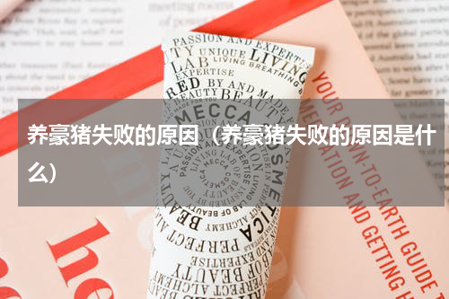 养豪猪失败的原因（养豪猪失败的原因是什么）