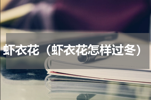 虾衣花（虾衣花怎样过冬）