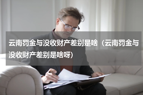 云南罚金与没收财产差别是啥（云南罚金与没收财产差别是啥呀）