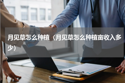 月见草怎么种植（月见草怎么种植亩收入多少）