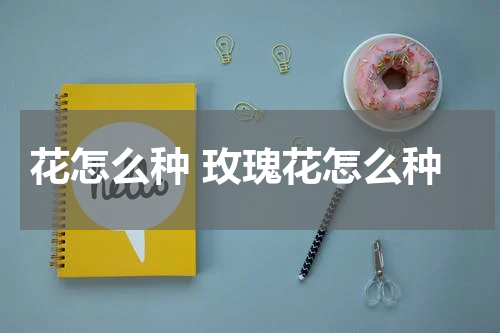 花怎么种 玫瑰花怎么种
