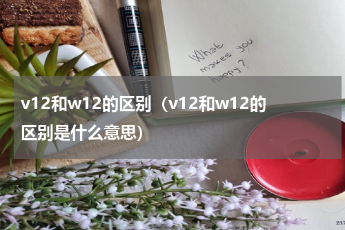 v12和w12的区别（v12和w12的区别是什么意思）