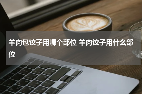 羊肉包饺子用哪个部位 羊肉饺子用什么部位