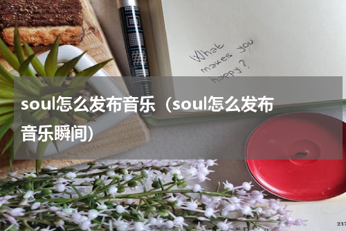 soul怎么发布音乐（soul怎么发布音乐瞬间）