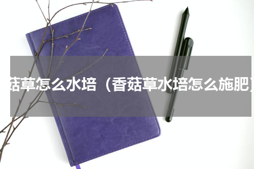 香菇草怎么水培（香菇草水培怎么施肥）
