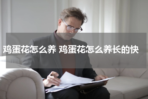 鸡蛋花怎么养 鸡蛋花怎么养长的快