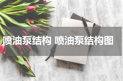 喷油泵结构 喷油泵结构图