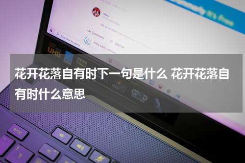 花开花落自有时下一句是什么 花开花落自有时什么意思