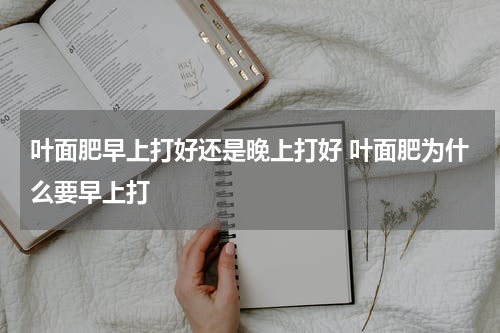 叶面肥早上打好还是晚上打好 叶面肥为什么要早上打