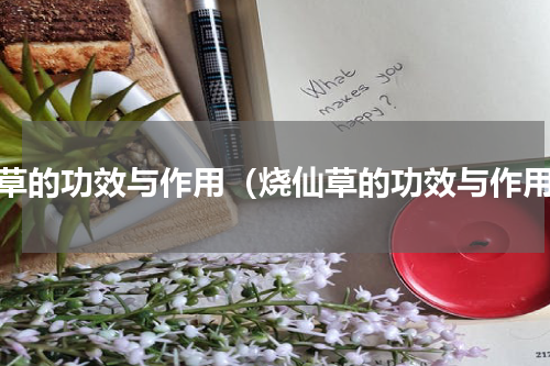 仙草的功效与作用（烧仙草的功效与作用）