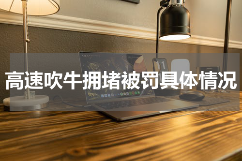 高速吹牛拥堵被罚具体情况