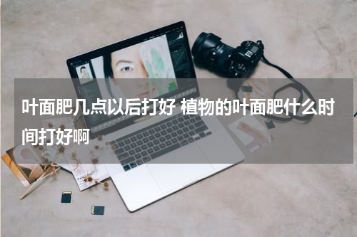 叶面肥几点以后打好 植物的叶面肥什么时间打好啊