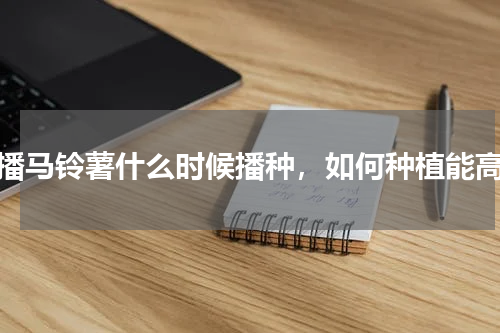 春播马铃薯什么时候播种，如何种植能高产