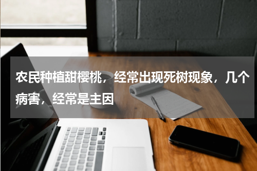 农民种植甜樱桃，经常出现死树现象，几个病害，经常是主因