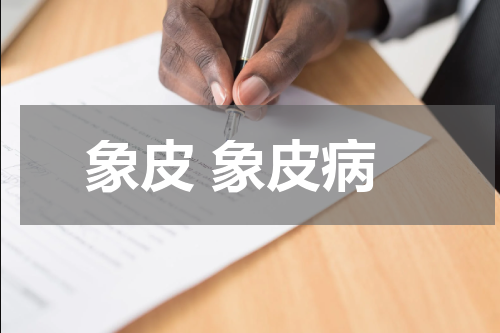象皮 象皮病