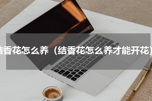 结香花怎么养（结香花怎么养才能开花）