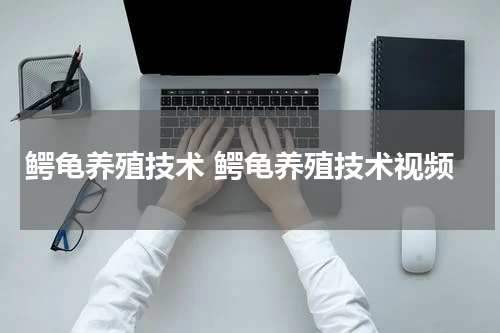 鳄龟养殖技术 鳄龟养殖技术视频