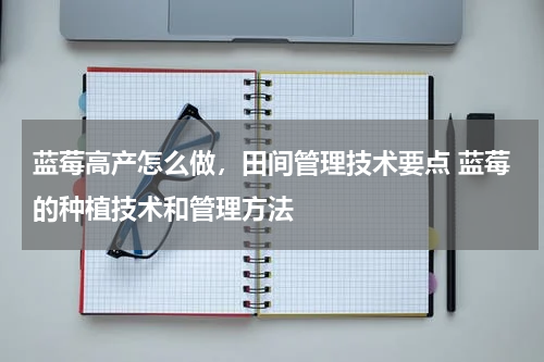 蓝莓高产怎么做，田间管理技术要点 蓝莓的种植技术和管理方法