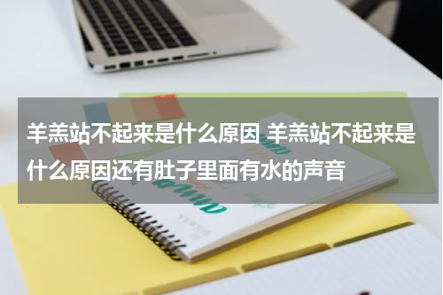 羊羔站不起来是什么原因 羊羔站不起来是什么原因还有肚子里面有水的声音