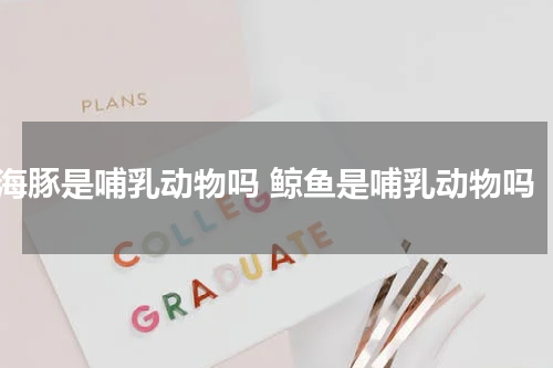 海豚是哺乳动物吗 鲸鱼是哺乳动物吗