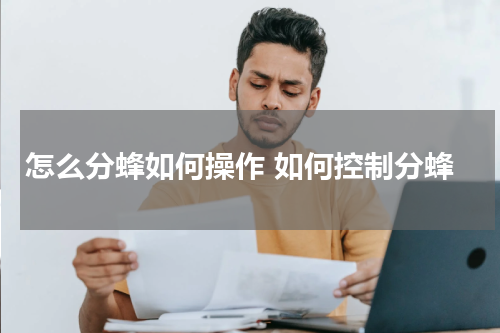怎么分蜂如何操作 如何控制分蜂