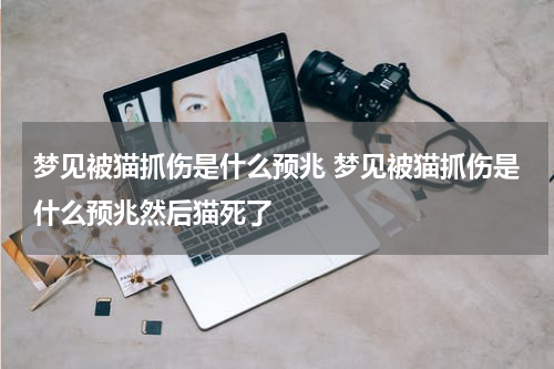 梦见被猫抓伤是什么预兆 梦见被猫抓伤是什么预兆然后猫死了