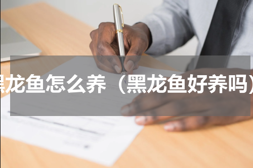 黑龙鱼怎么养（黑龙鱼好养吗）