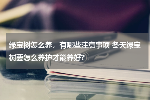 绿宝树怎么养，有哪些注意事项 冬天绿宝树要怎么养护才能养好?