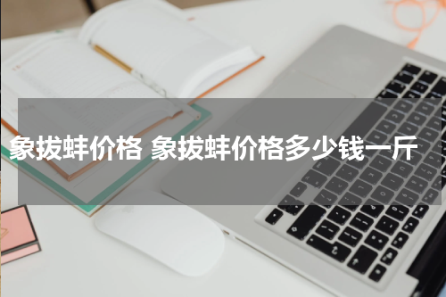 象拔蚌价格 象拔蚌价格多少钱一斤