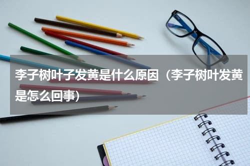 李子树叶子发黄是什么原因（李子树叶发黄是怎么回事）