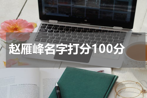 赵雁峰名字打分100分