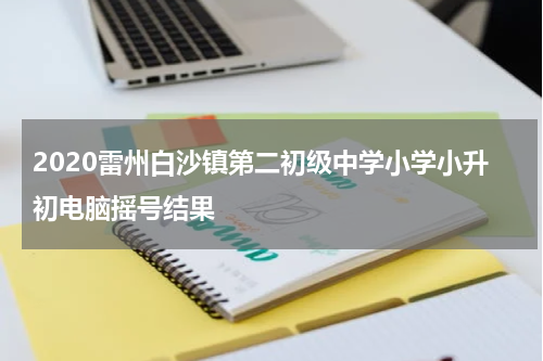 2020雷州白沙镇第二初级中学小学小升初电脑摇号结果