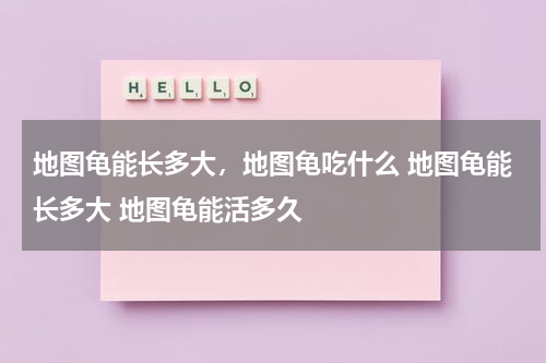 地图龟能长多大，地图龟吃什么 地图龟能长多大 地图龟能活多久