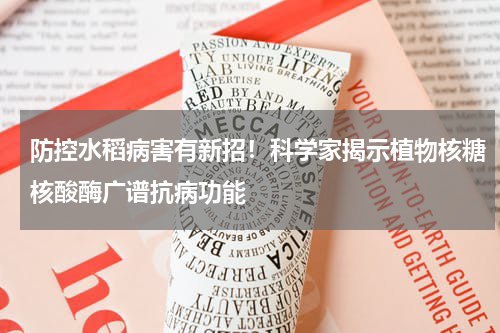 防控水稻病害有新招！科学家揭示植物核糖核酸酶广谱抗病功能