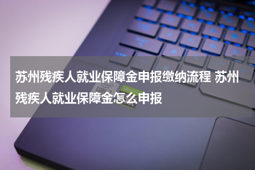苏州残疾人就业保障金申报缴纳流程 苏州残疾人就业保障金怎么申报