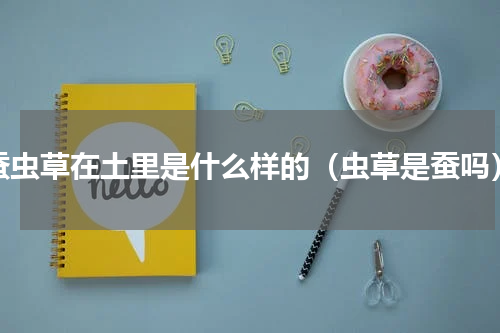 蚕虫草在土里是什么样的（虫草是蚕吗）
