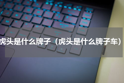 虎头是什么牌子（虎头是什么牌子车）