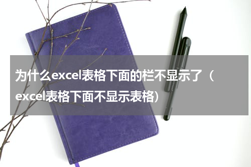 为什么excel表格下面的栏不显示了（excel表格下面不显示表格）