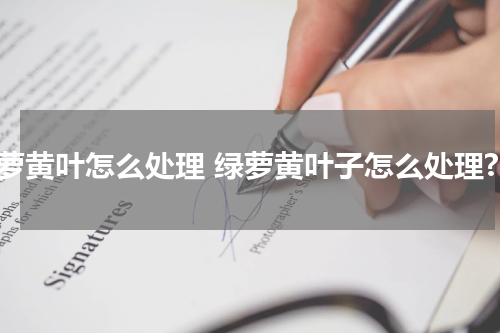 绿萝黄叶怎么处理 绿萝黄叶子怎么处理?